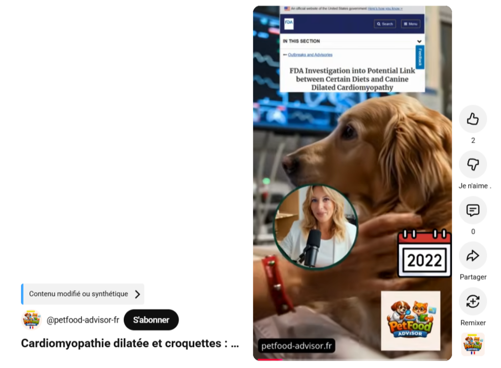 Cardiomyopathie dilatée et croquettes : ce que dit vraiment la science