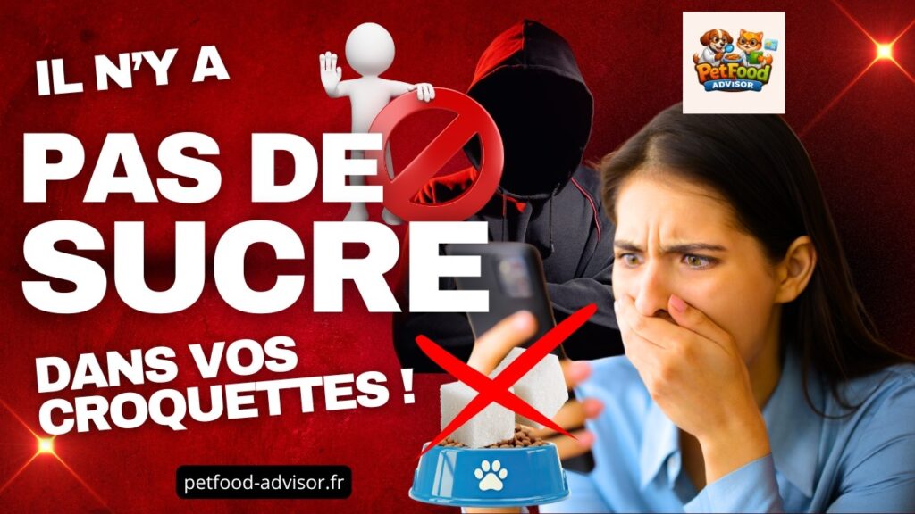 Croquettes : non, il n’y a pas 50 % de “sucre”