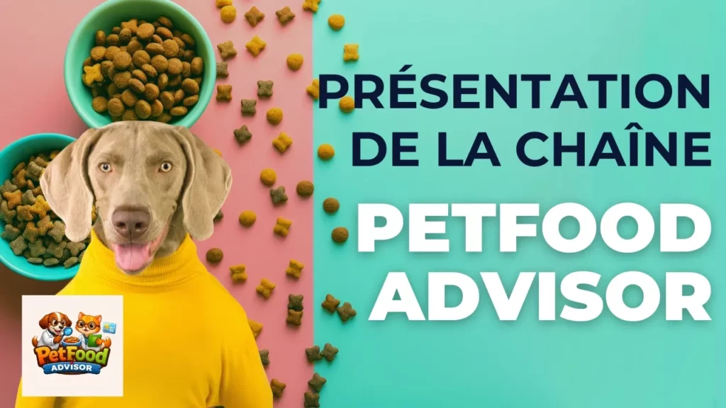 Petfood Advisor : comprendre les croquettes et pâtées simplement