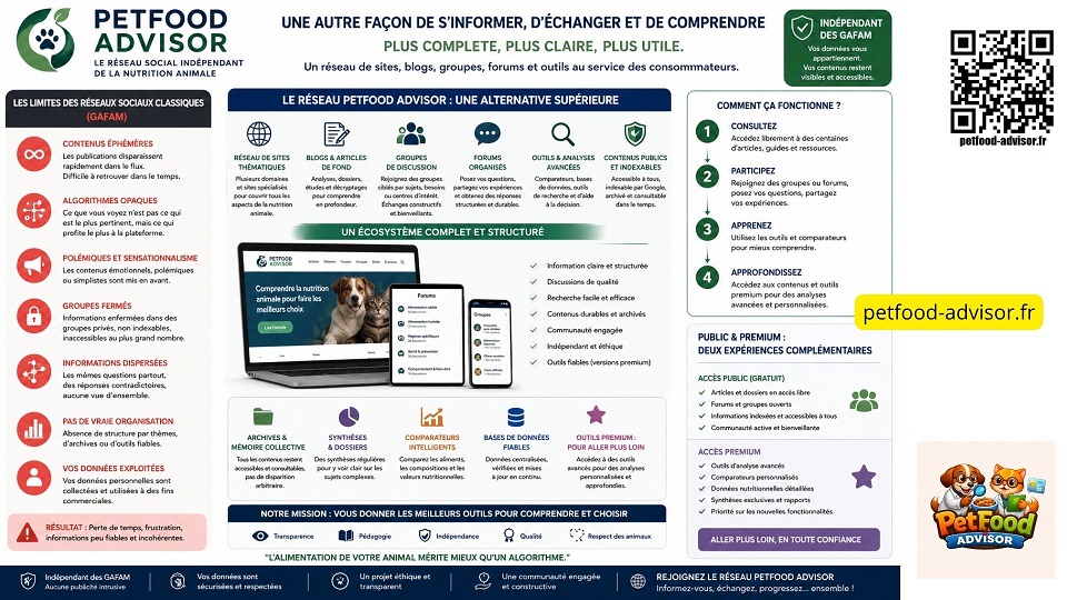 En savoir-plus sur notre concept de réseau social